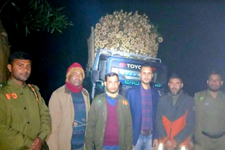চট্টগ্রামে জ্বালানি কাঠসহ জীপ জব্দ 